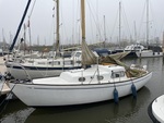 img-2253